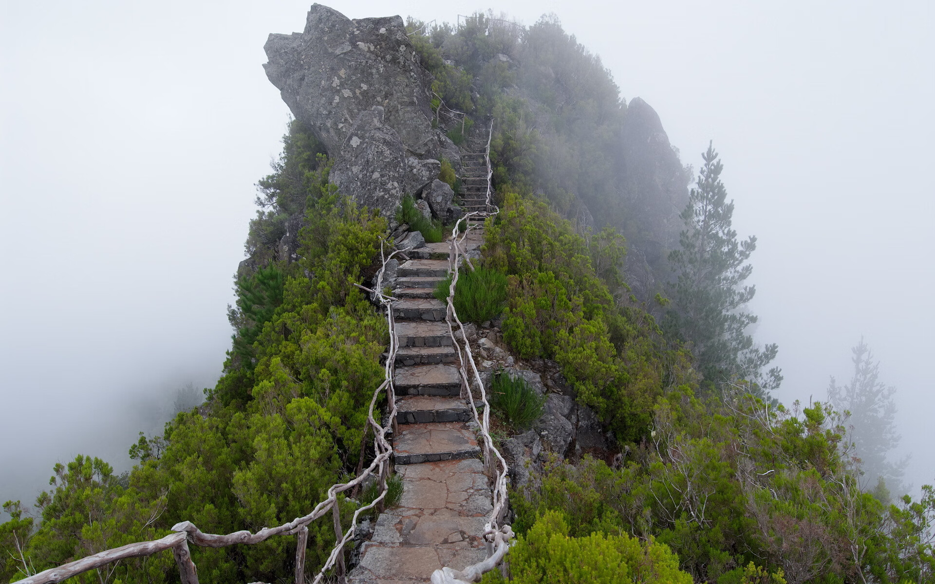 世界短道速滑教练能力提升计划:区域教练获集中培训支持,世界短道速滑视频